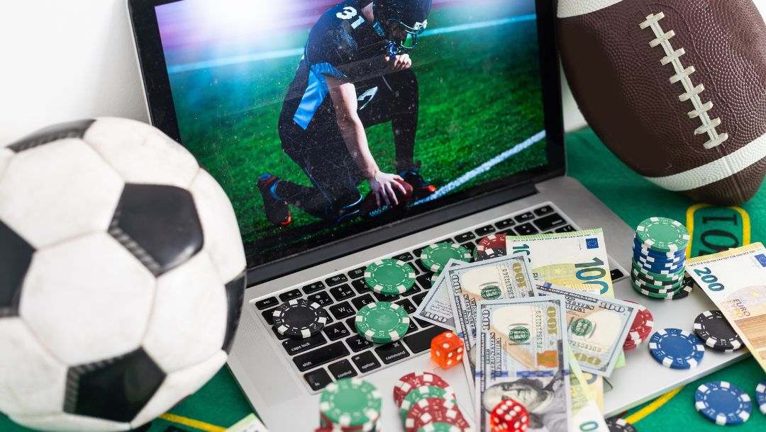 Todo lo que necesitas saber sobre databet 11
